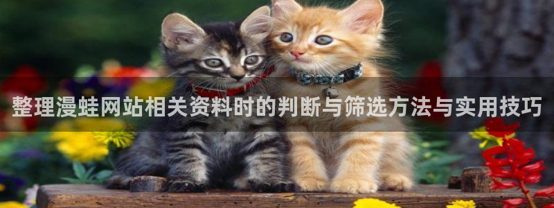 哔咔